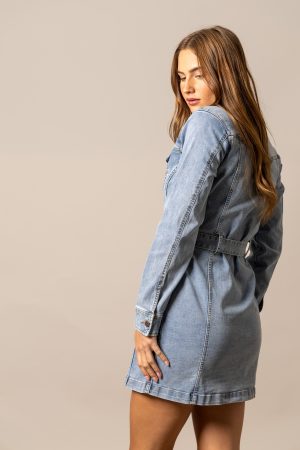 Winslow Trucker Dress